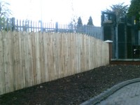 New garden fence constructed in Belfast by HMC Joiners & Builders, Northern Ireland